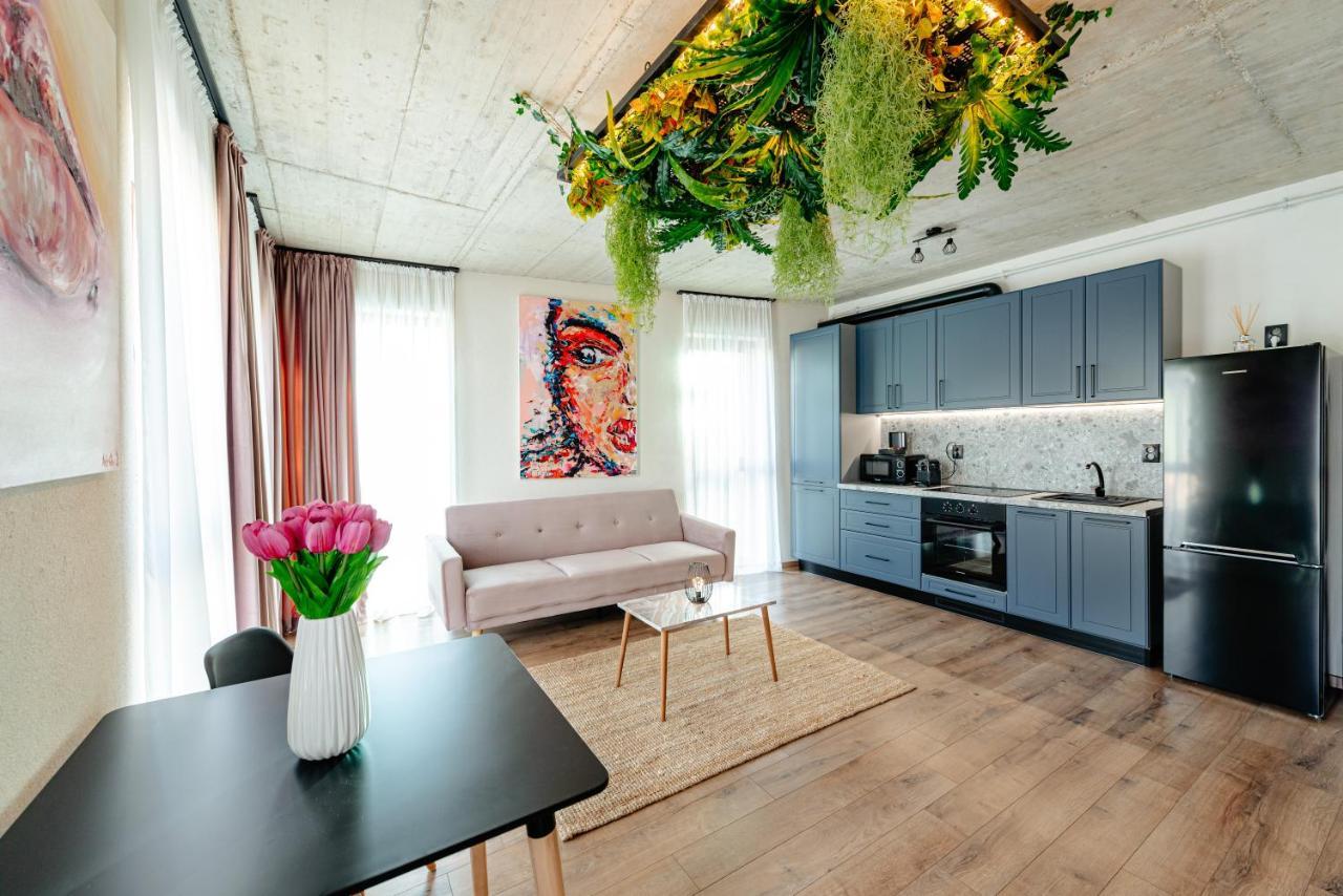 Centro Accommodation Cluj-Napoca Ngoại thất bức ảnh