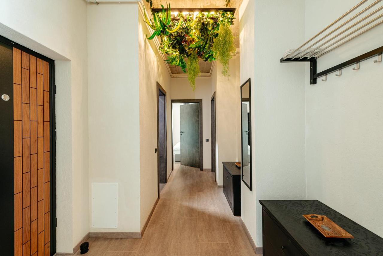 Centro Accommodation Cluj-Napoca Ngoại thất bức ảnh