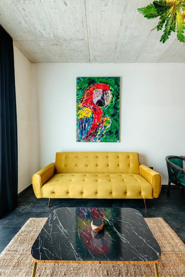 Centro Accommodation Cluj-Napoca Ngoại thất bức ảnh